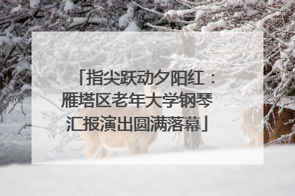 指尖跃动夕阳红：雁塔区老年大学钢琴汇报演出圆满落幕