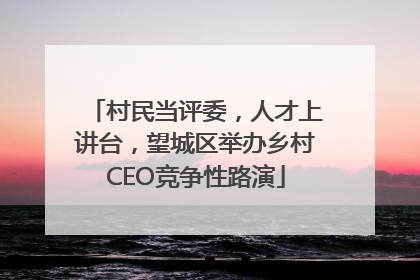 村民当评委，人才上讲台，望城区举办乡村CEO竞争性路演