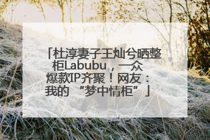 杜淳妻子王灿兮晒整柜Labubu，一众爆款IP齐聚！网友：我的 “梦中情柜”