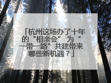 杭州这场办了十年的“相亲会” 为“一带一路”共建带来哪些新机遇？