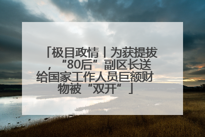 极目政情丨为获提拔，“80后”副区长送给国家工作人员巨额财物被“双开”
