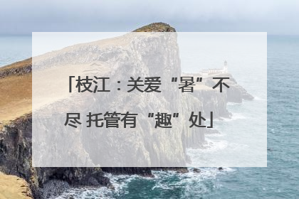 枝江：关爱“暑”不尽 托管有“趣”处