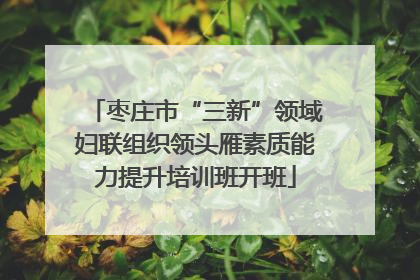 枣庄市“三新”领域妇联组织领头雁素质能力提升培训班开班