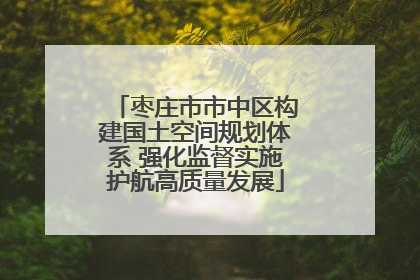 枣庄市市中区构建国土空间规划体系 强化监督实施护航高质量发展
