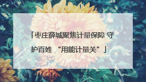 枣庄薛城聚焦计量保障 守护百姓 “用能计量关”