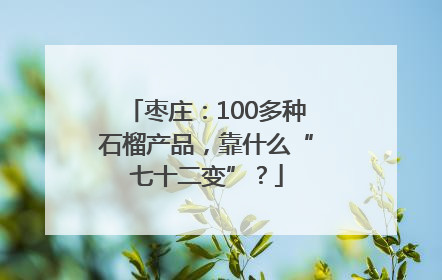 枣庄：100多种石榴产品，靠什么“七十二变”？