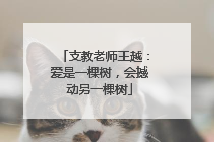 支教老师王越：爱是一棵树，会撼动另一棵树