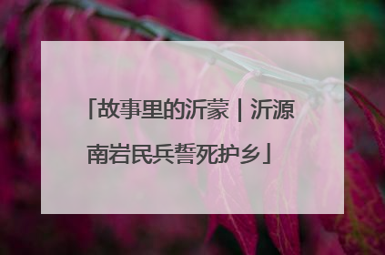 故事里的沂蒙｜沂源南岩民兵誓死护乡