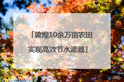 敦煌10余万亩农田实现高效节水灌溉