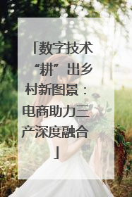 数字技术“耕”出乡村新图景：电商助力三产深度融合
