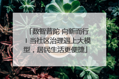 数智普陀 向新而行〡当社区治理遇上大模型，居民生活更便捷