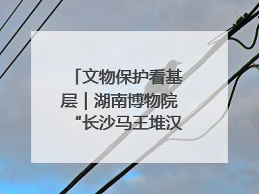 文物保护看基层｜湖南博物院“长沙马王堆汉墓陈列”展