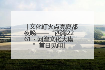 文化灯火点亮夏都夜晚——“西海2261・河湟文化大集”首日见闻