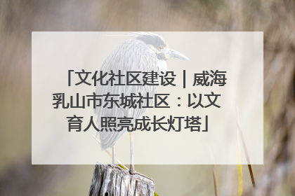 文化社区建设｜威海乳山市东城社区：以文育人照亮成长灯塔