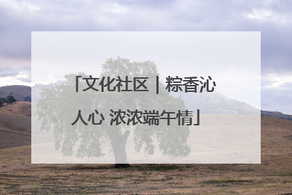 文化社区｜粽香沁人心 浓浓端午情