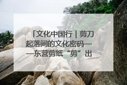 文化中国行｜剪刀起落间的文化密码——东营剪纸“剪”出非遗传承与现代生活的融合之道