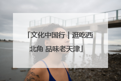 文化中国行｜逛吃西北角 品味老天津