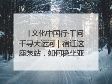 文化中国行·千问千寻大运河｜宿迁这座泵站，如何稳坐亚洲第一宝座？