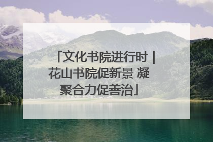 文化书院进行时｜花山书院促新景 凝聚合力促善治