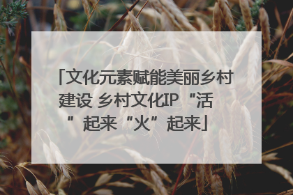 文化元素赋能美丽乡村建设 乡村文化IP“活”起来“火”起来