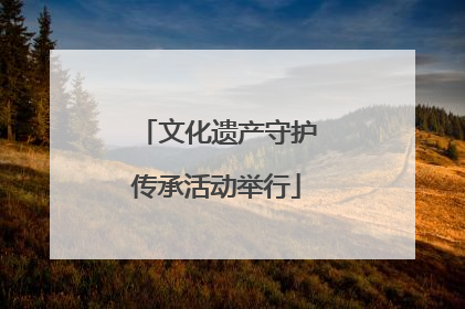 文化遗产守护传承活动举行