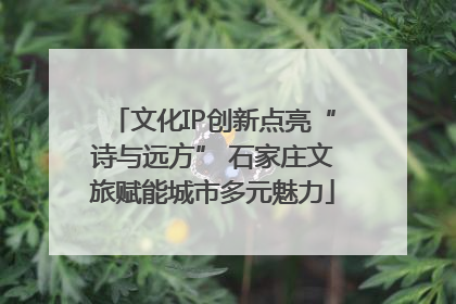 文化IP创新点亮“诗与远方” 石家庄文旅赋能城市多元魅力
