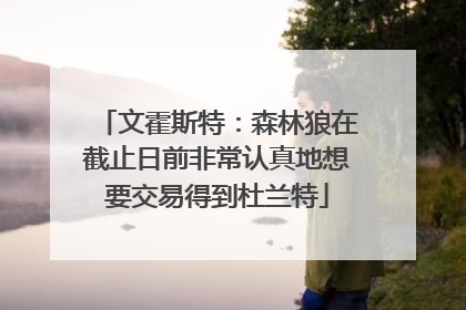 文霍斯特：森林狼在截止日前非常认真地想要交易得到杜兰特