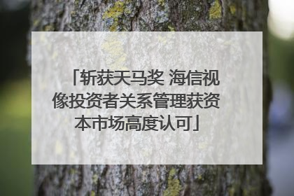 斩获天马奖 海信视像投资者关系管理获资本市场高度认可