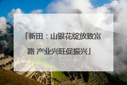 新田：山银花绽放致富路 产业兴旺促振兴