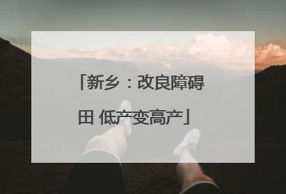 新乡：改良障碍田 低产变高产