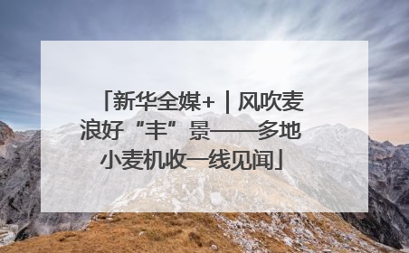 新华全媒+｜风吹麦浪好“丰”景——多地小麦机收一线见闻