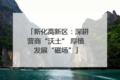 新化高新区：深耕营商“沃土” 厚植发展“磁场”
