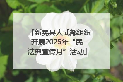 新晃县人武部组织开展2025年“民法典宣传月”活动