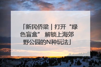 新民侨梁｜打开“绿色盲盒” 解锁上海郊野公园的N种玩法