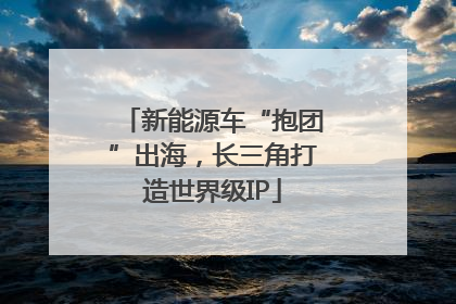 新能源车“抱团”出海，长三角打造世界级IP