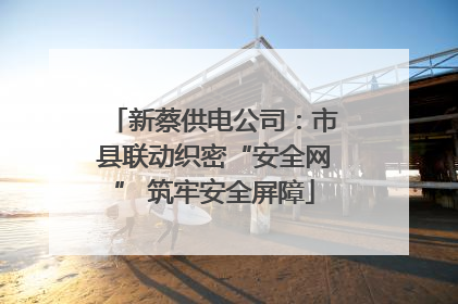 新蔡供电公司:市县联动织密“安全网” 筑牢安全屏障