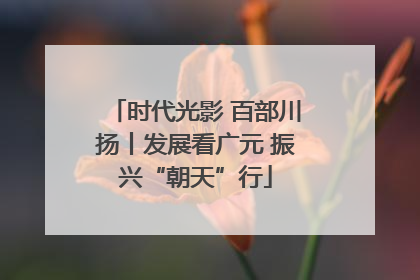 时代光影 百部川扬丨发展看广元 振兴“朝天”行