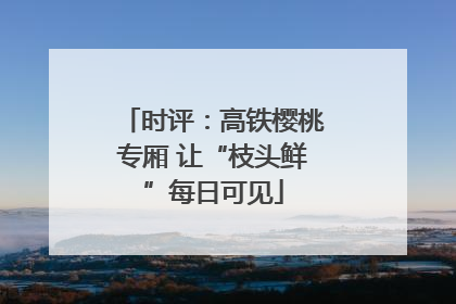 时评：高铁樱桃专厢 让“枝头鲜”每日可见