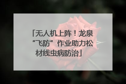 无人机上阵！龙泉“飞防”作业助力松材线虫病防治