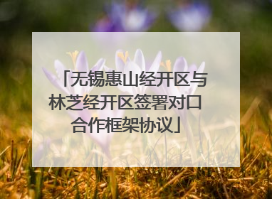 无锡惠山经开区与林芝经开区签署对口合作框架协议