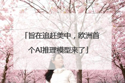 旨在追赶美中，欧洲首个AI推理模型来了