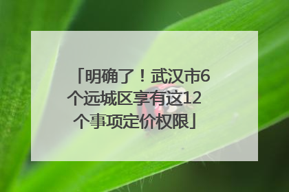明确了！武汉市6个远城区享有这12个事项定价权限