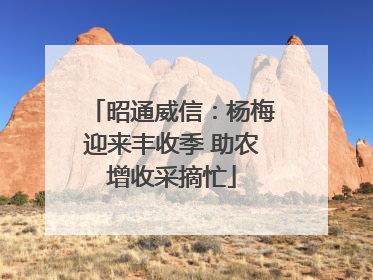 昭通威信：杨梅迎来丰收季 助农增收采摘忙