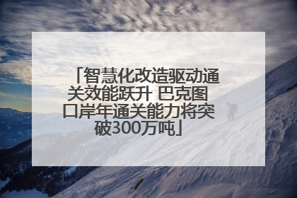 智慧化改造驱动通关效能跃升 巴克图口岸年通关能力将突破300万吨