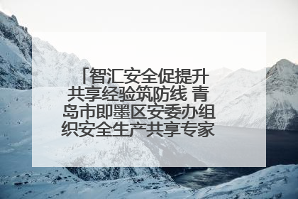智汇安全促提升 共享经验筑防线 青岛市即墨区安委办组织安全生产共享专家现场观摩学习活动