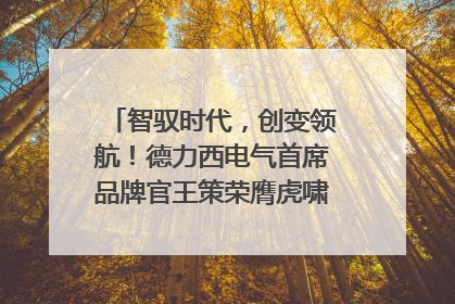 智驭时代，创变领航！德力西电气首席品牌官王策荣膺虎啸奖年度品牌人物