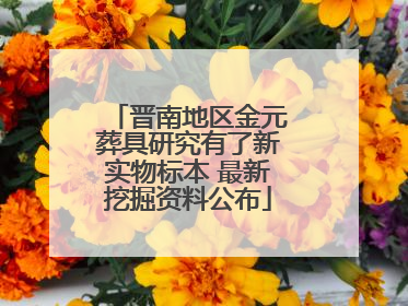 晋南地区金元葬具研究有了新实物标本 最新挖掘资料公布