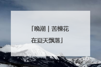 晚潮｜苦楝花在夏天飘落