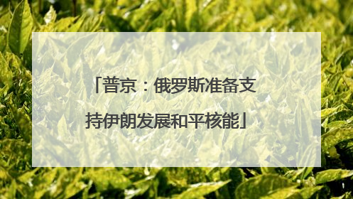 普京：俄罗斯准备支持伊朗发展和平核能