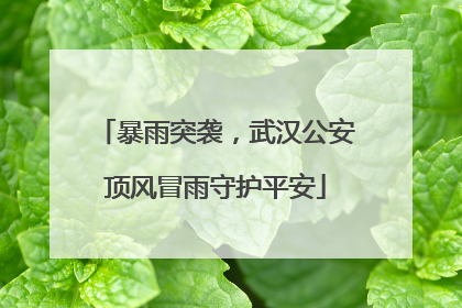 暴雨突袭，武汉公安顶风冒雨守护平安